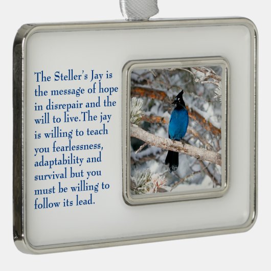 ステラーのジェイ シルバープレートフレームオーナメント (右)