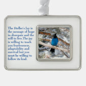 ステラーのジェイ シルバープレートフレームオーナメント (正面)