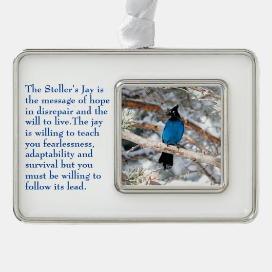 ステラーのジェイ シルバープレートフレームオーナメント (正面)