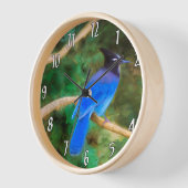 ステラーズジェイの絵画 - オリジナルの野鳥アート 壁時計 (傾斜)
