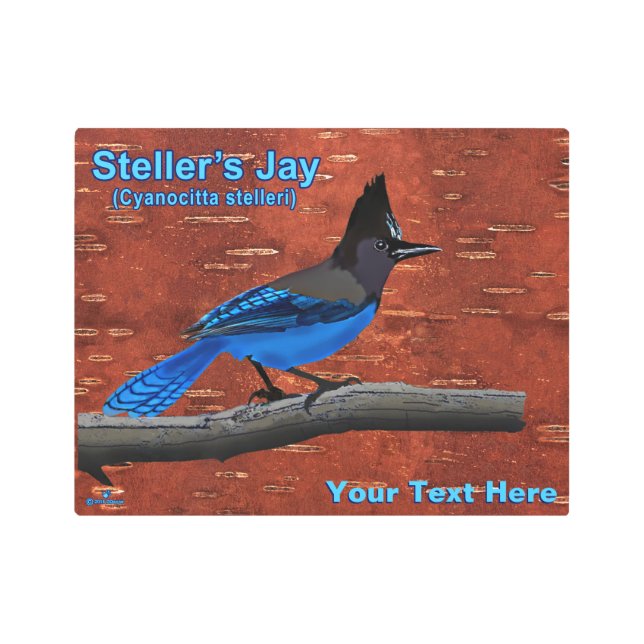 ステラーズジェイオンインナー樺の木バークメタルプリント メタルプリント (正面)