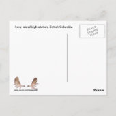 ステラーズジェイオンインナー樺の木樹皮はがき ポストカード (裏面)