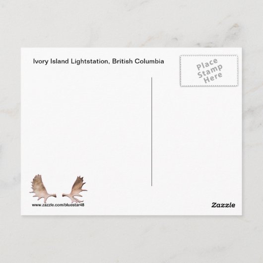 ステラーズジェイオンインナー樺の木樹皮はがき ポストカード (裏面)