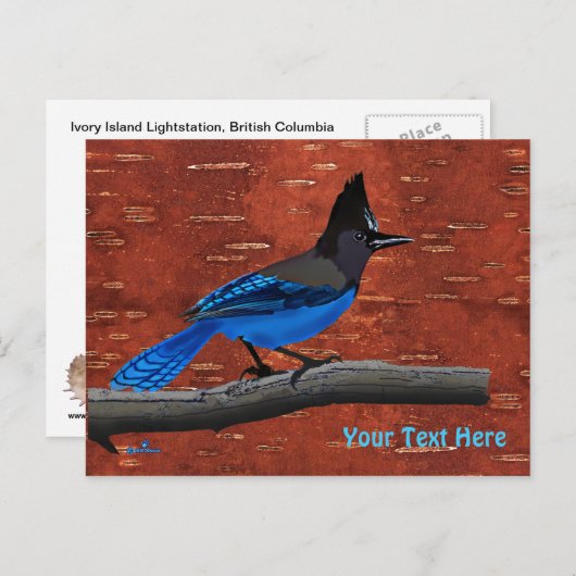 ステラーズジェイオンインナー樺の木樹皮 ポストカード (正面/裏面)