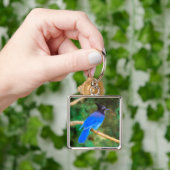 ステラーズジェイ絵画ズ – Bird Artオリジナル キーホルダー (手)