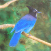 ステラーズジェイ絵画ズ – Bird Artオリジナル シール (正面)