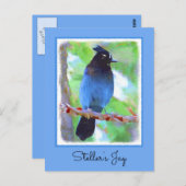 ステラーズジェイ絵画ズ – Bird Artオリジナル ポストカード (正面/裏面)