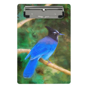 ステラーズジェイ絵画ズ – Bird Artオリジナル ミニクリップボード