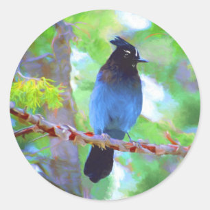 ステラーズジェイ絵画ズ – Bird Artオリジナル ラウンドシール