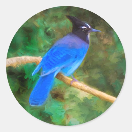 ステラーズジェイ絵画ズ – Bird Artオリジナル ラウンドシール (正面)