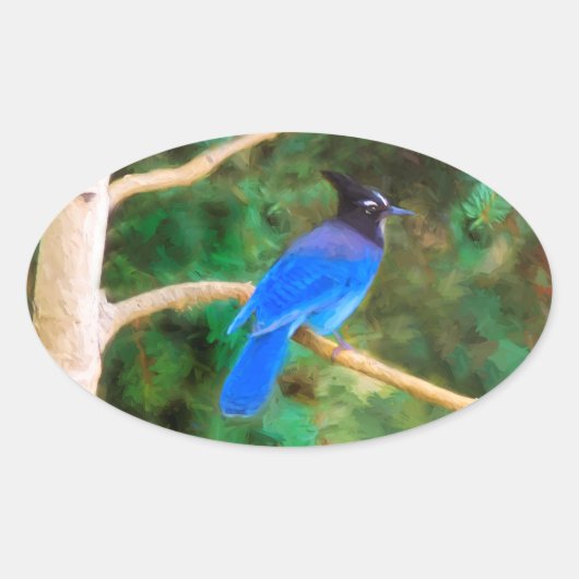ステラーズジェイ絵画ズ – Bird Artオリジナル 楕円形シール (正面)
