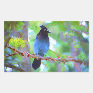 ステラーズジェイ絵画ズ – Bird Artオリジナル 長方形シール