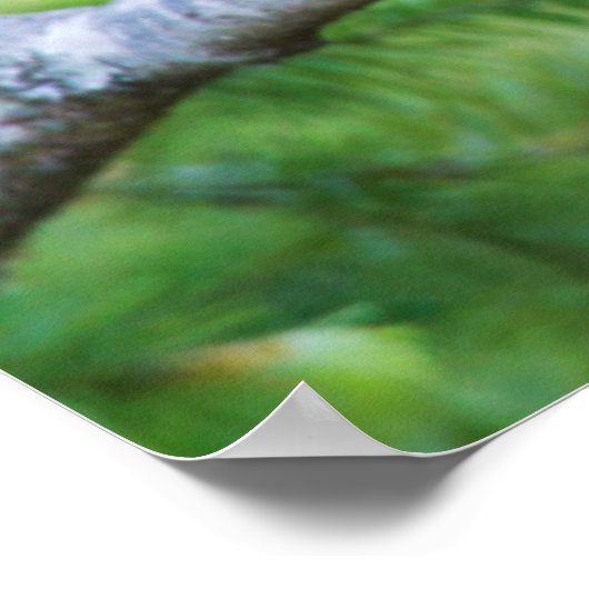 ステラーズジェイ3 ポスター (角)