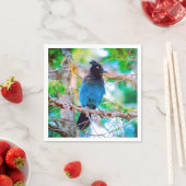 ステラーズジェイ – オリジナル写真 スタンダードカクテルナプキン (インサイチュ)