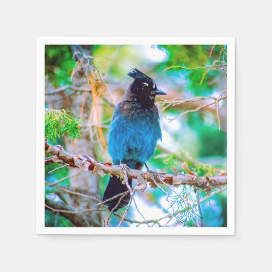 ステラーズジェイ – オリジナル写真 スタンダードカクテルナプキン (正面)