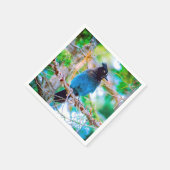 ステラーズジェイ – オリジナル写真 スタンダードカクテルナプキン (角)