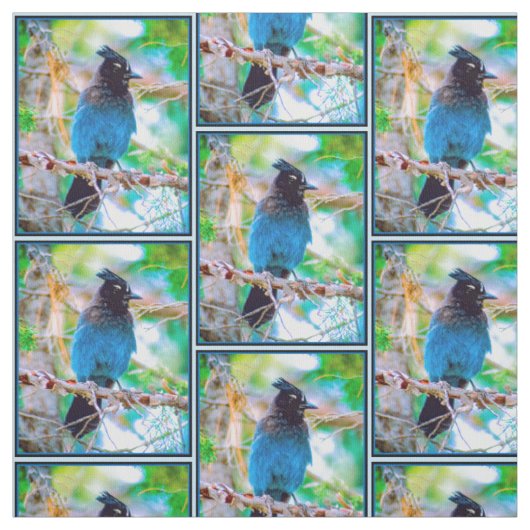 ステラーズジェイ – オリジナル写真 ファブリック (見本)
