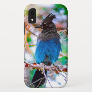 ステラーズジェイ – オリジナル写真 iPhone XRケース