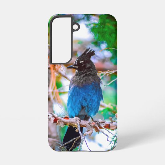 ステラーズジェイ – オリジナル写真 SAMSUNG GALAXYケース (裏面)