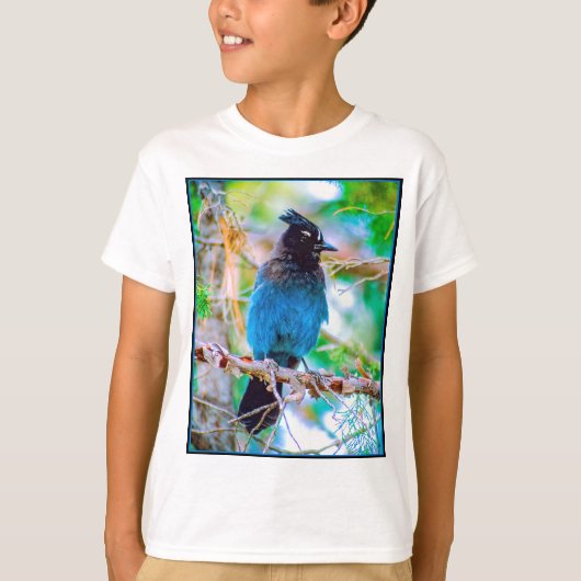 ステラーズジェイ – オリジナル写真 Tシャツ (正面)