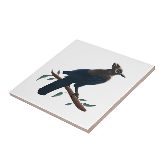 ステラーズジェイ  タイル (側面)