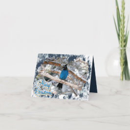 ステラーズ・ジェイのクリスマス　折りたたみホリデーカード シーズンカード