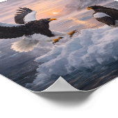 ステラーハクトウ（ステラーカモメ） (Haliaeetus pelagicus) – ポスター (角)