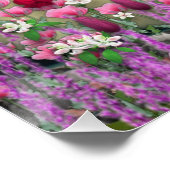 ステラ・イン・フラワーズI，チョコレート&クリームシャム猫 ポスター (コーナー)