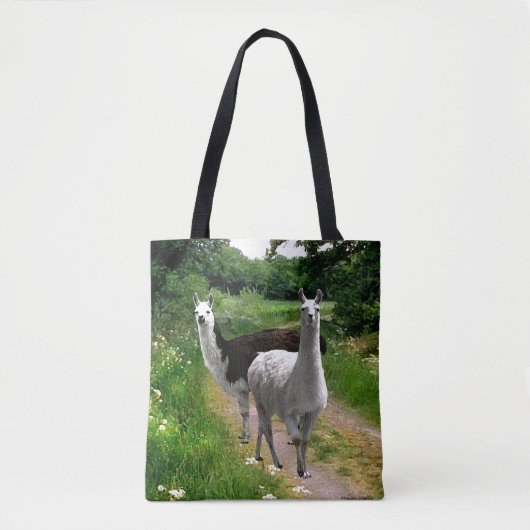 「ステラ&ザ·ピレート」トートバッグ トートバッグ (正面)