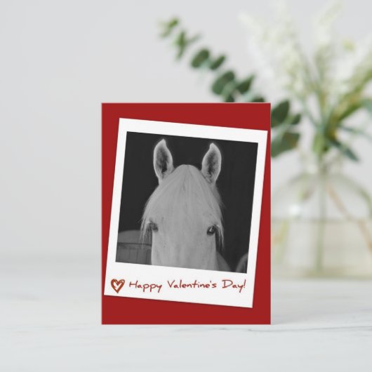 ステラ ポストカード (スタンド正面)