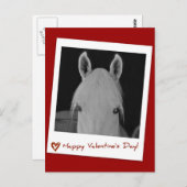 ステラ ポストカード (正面/裏面)