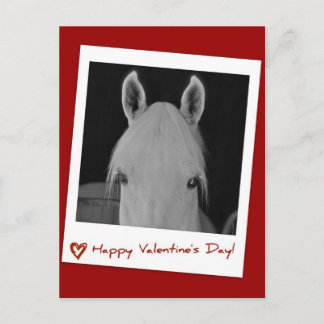 ステラ ポストカード