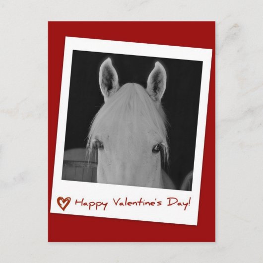 ステラ ポストカード (正面)