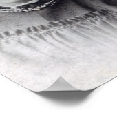 ステラ、ヴァネッサとバージニア・スティーブン， c.1896 ポスター (角)