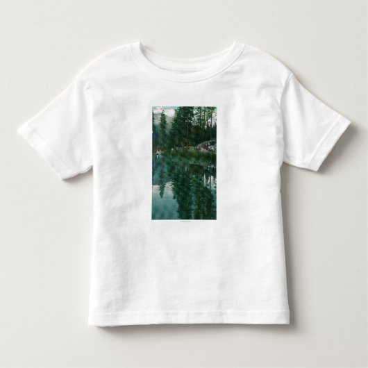 ステラLakeWawona、カリフォルニアの眺め トドラーTシャツ (正面)