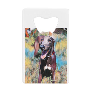 ステリー クレジットカード栓抜き