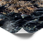 ステルシーキツネ ポスター (コーナー)