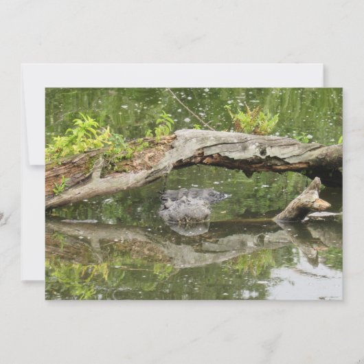 ステルスアリゲーターフラットカード (正面)