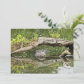 ステルスアリゲーターフラットカード (スタンド正面)