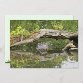 ステルスアリゲーターフラットカード (正面/裏面)