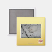 ステルス子猫1 マグネット (正面/裏面)