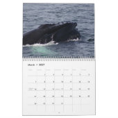 ステルワーゲン銀行のザトウクジラ カレンダー (3月 2027)