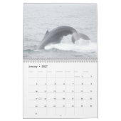 ステルワーゲン銀行のザトウクジラ カレンダー (1月 2027)