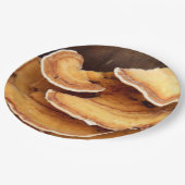 ステレウムヒルツムカビ紙プレート ペーパープレート (アングル)