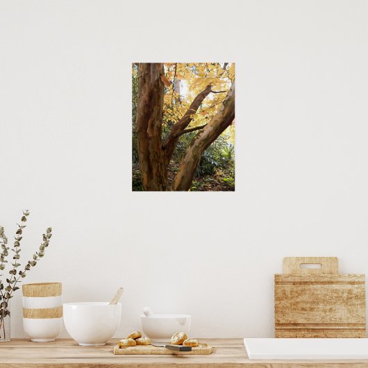 ステワカラフル日本のーティア写真 ポスター (キッチン)