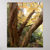 ステワカラフル日本のーティア写真 ポスター (正面)