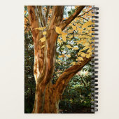 ステワ日本のーティア植物写真 ノートブック (裏面)