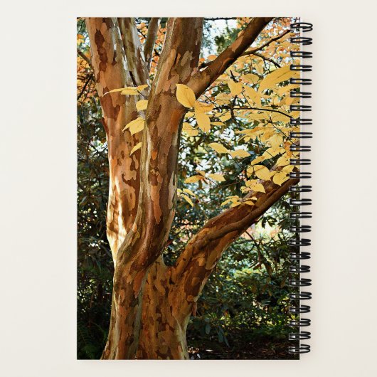 ステワ日本のーティア植物写真 ノートブック (裏面)