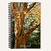 ステワ日本のーティア植物写真 ノートブック (正面)