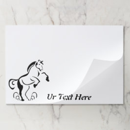 ステンシルホースの飼育 ペーパーパッド